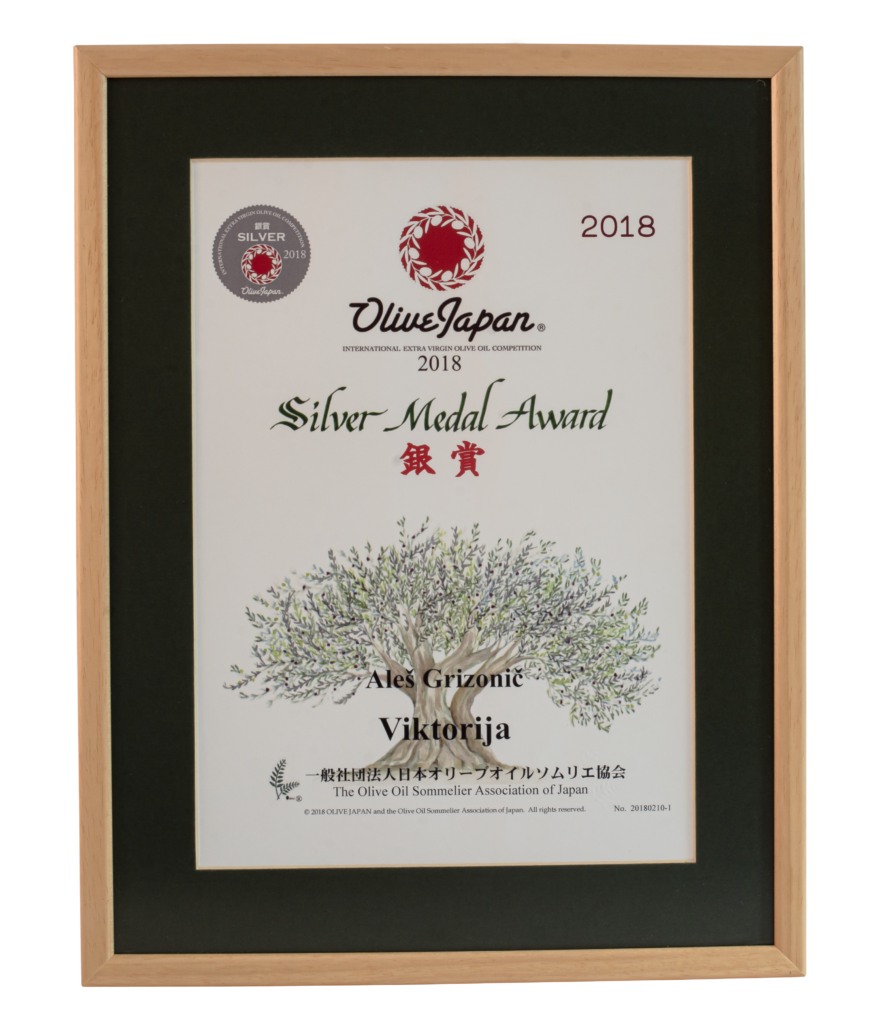 Silver Medal Award 2018