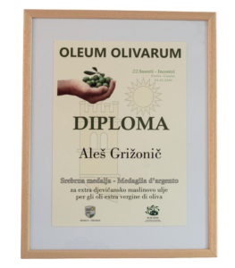 Susreti - Srebrna Medalja 2019