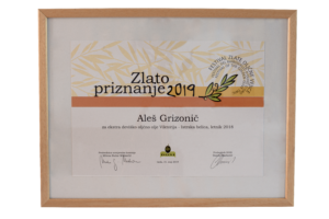 Festival Zlate Oljcne Vejice - Zlato Priznanje 2019